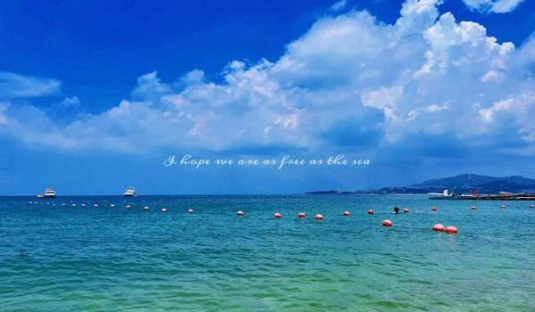 三角洲行动寻血猎犬免费怎么下载(给我三角洲行动寻血猎犬的下载链接) 三角洲行动寻血猎犬免费怎么下载(给我三角洲行动寻血猎犬的下载链接)