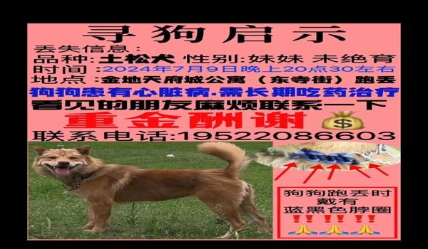 三角洲找寻血猎犬会被封吗(三角洲使用寻血猎犬会被封多久?) 三角洲找寻血猎犬会被封吗(三角洲使用寻血猎犬会被封多久?)